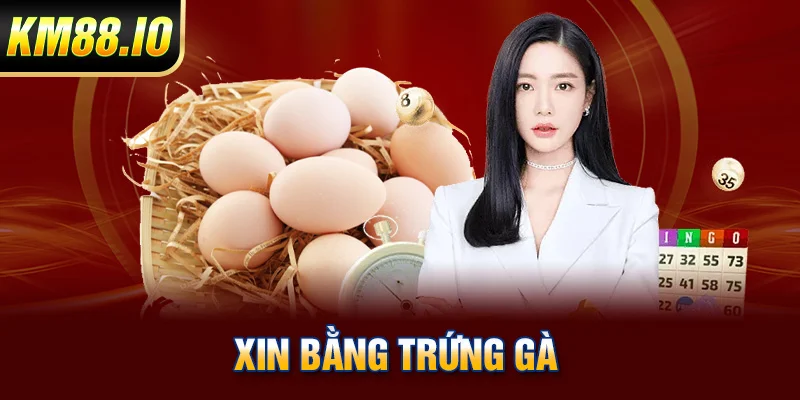 Xin Số Đề Hôm Nay - Chia Sẻ Các Phương Pháp Xin Số