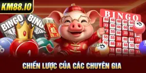 Hướng dẫn - KM88